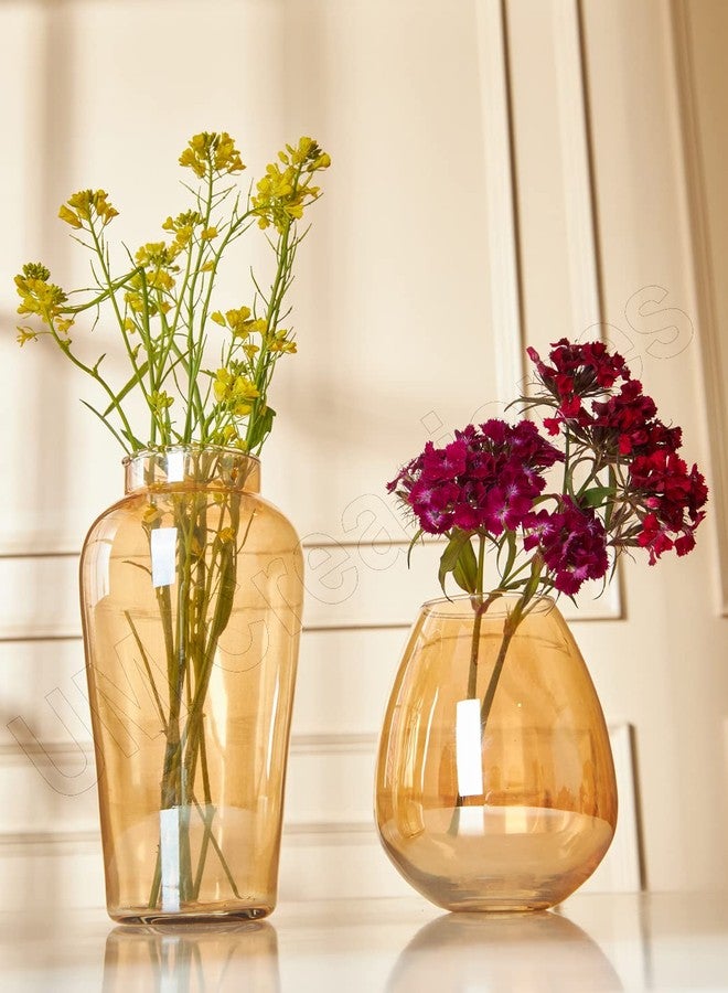 UM Creaciones Amber Flower Glass Modern Vase Set Perfect For Wedding & Home Decorative For Home Decor Living Room Office And Place Settings (Set Of 2) - Image 1